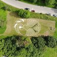 Erdbild  - Friedenstaube von oben 01